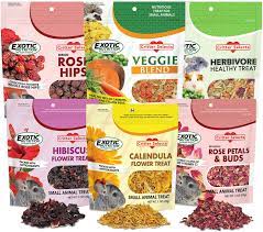 Healthy Snacks For Chinchillas