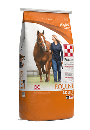 Donkeys and Purina Donkey Feed