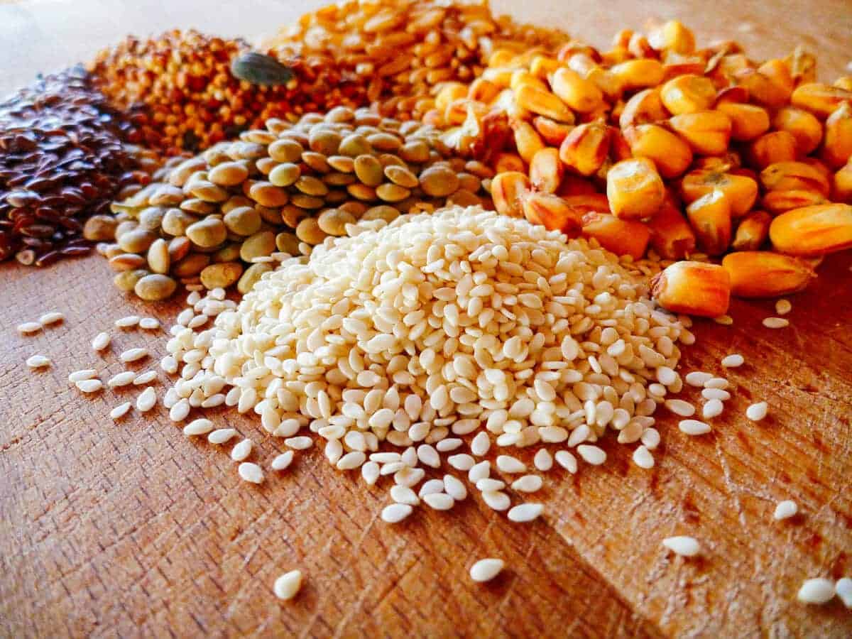 The Best Organic Chicken Feed For Laying Hens