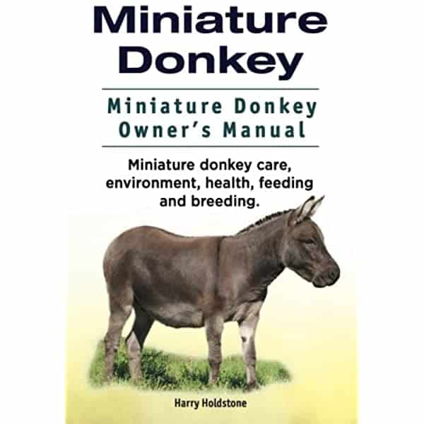 The Best Feed For Donkeys