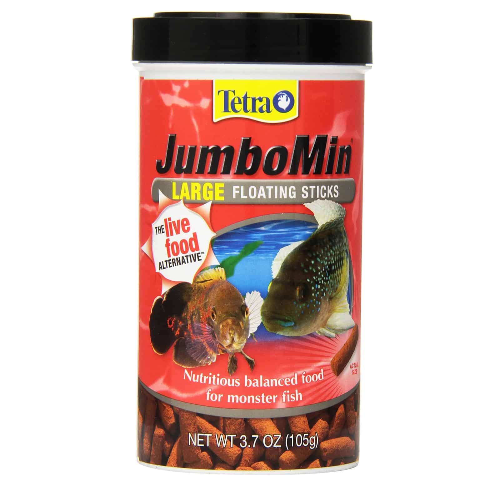 What Can Betta Fish Eat? Pet Food Guide