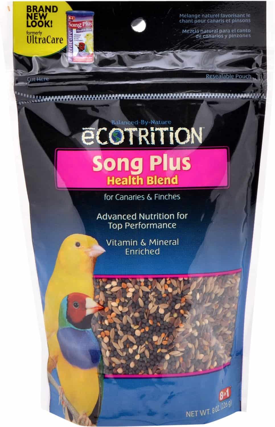Canary Bird Diet