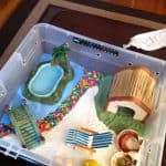 Hermit Crab Diet - The Differences Between Commercial and Homemade Hermit Crab Food