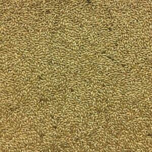 Hagen Canary Seed Review