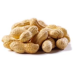 Shelled Peanuts For Wild Birds
