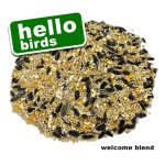 What is the Best Bird Seed For Wild Birds? What is the Best Bird Seed For Wild Birds?