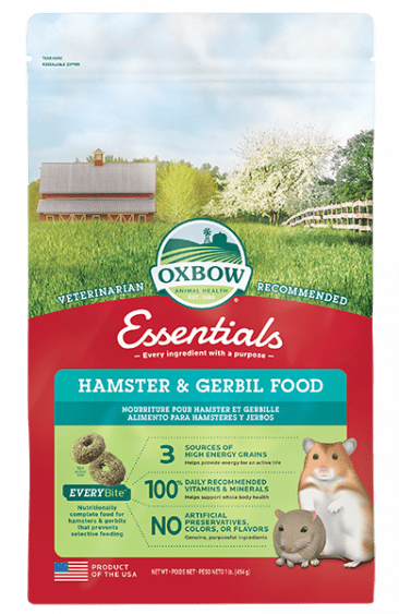 Gerbil Food Mix - What is the Best Gerbil Food Mix For Your Pet?