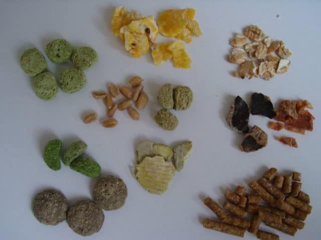 Beaphar Degu Food