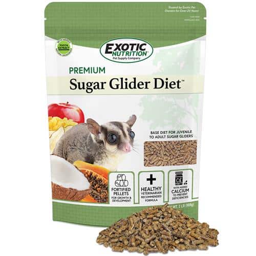 What Can I Feed My Sugar Glider?