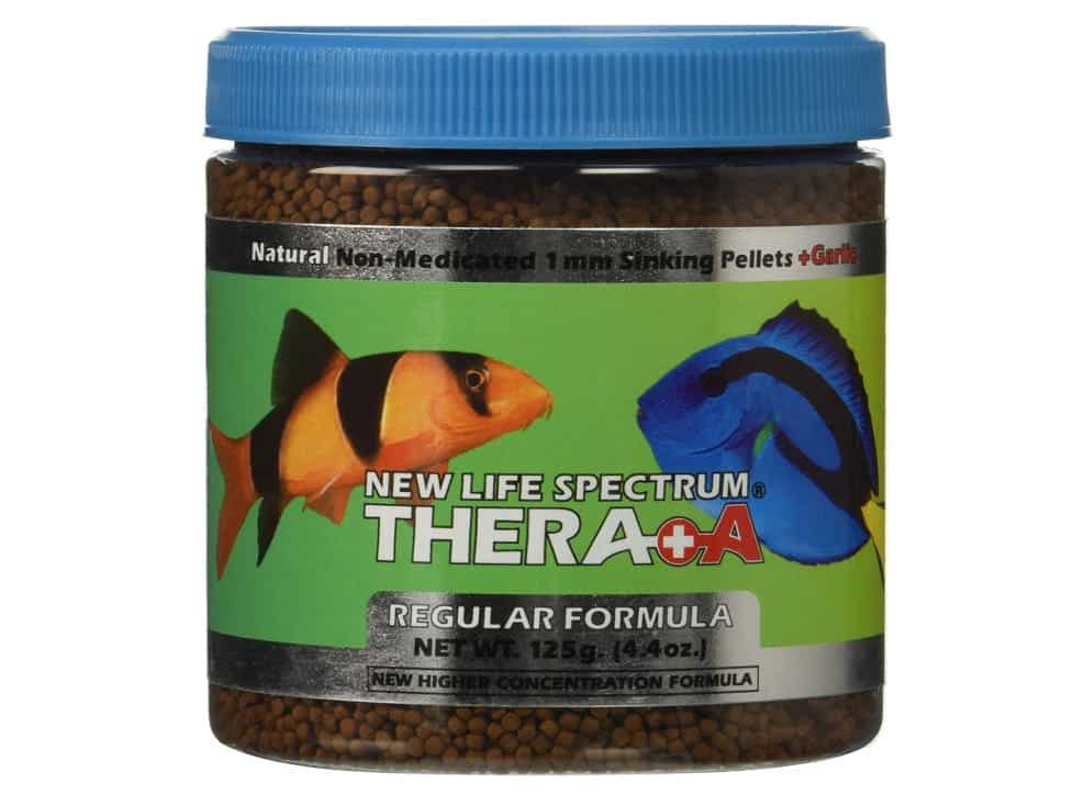 Sinking Catfish Food Pet Food Guide