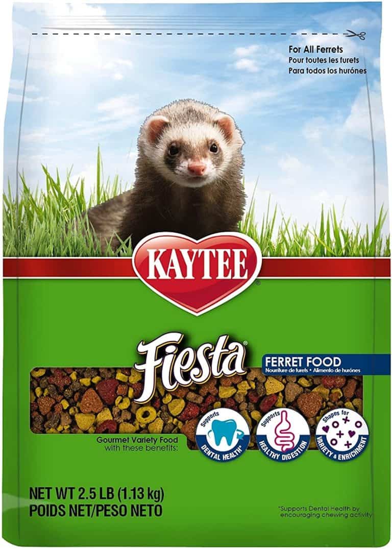 A Good Ferret Food Review Pet Food Guide