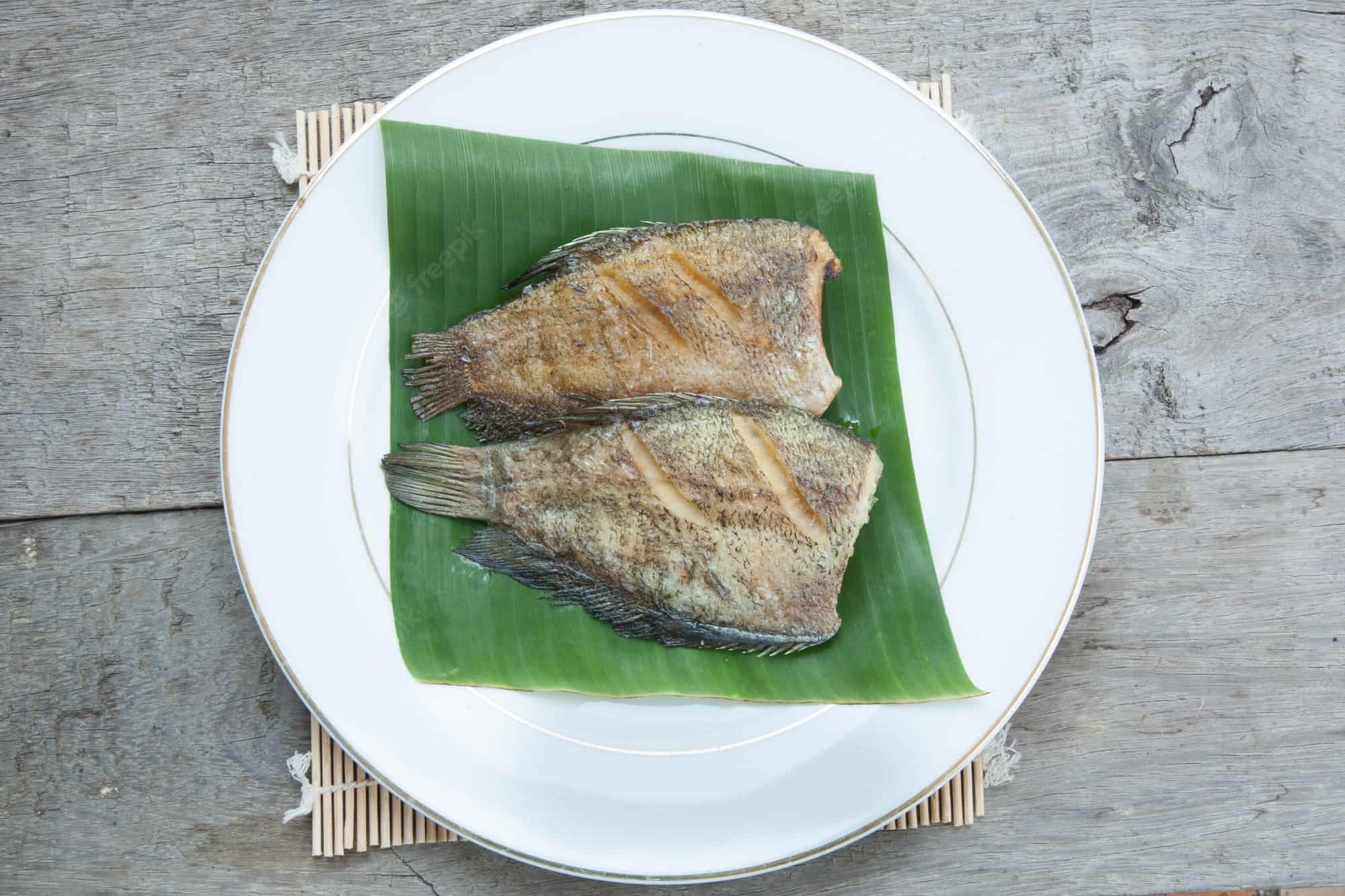 Damsel Fish Food