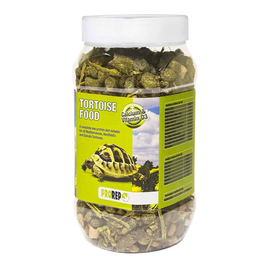 Home Tortoise Food