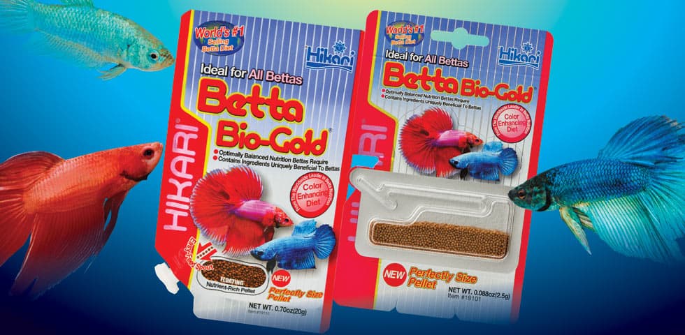 Best Betta Food For Color