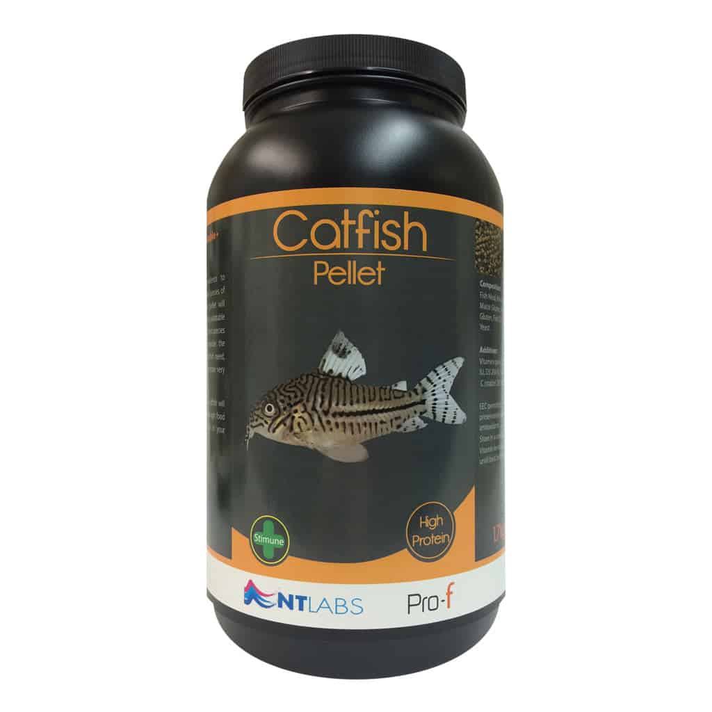 Choosing a High Protein Catfish Food