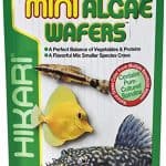 Hikari Algae Wafers
