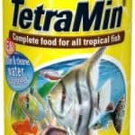 How to Choose the Best High Protein Tropical Fish Food