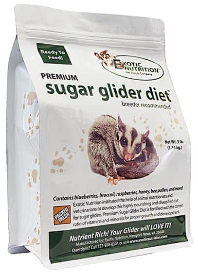 Feeding Your Sugar Glider the Right Sugar Glider Diet