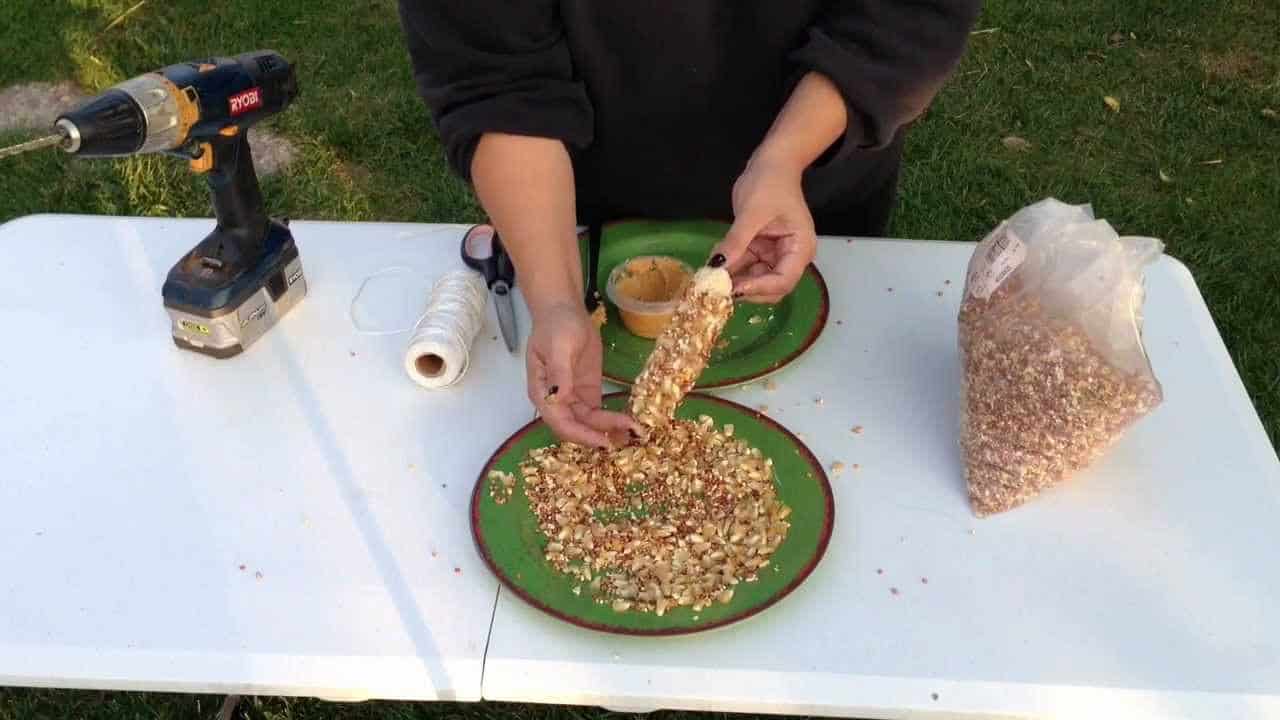 Easy and Delicious Chicken Treats For Chickens