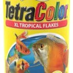 The Best Flakes For Tropical Fish