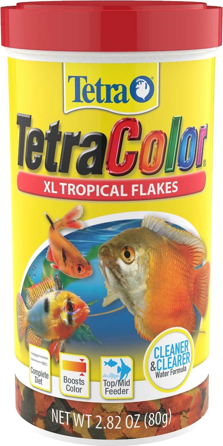 The Best Flakes For Tropical Fish Pet Food Guide
