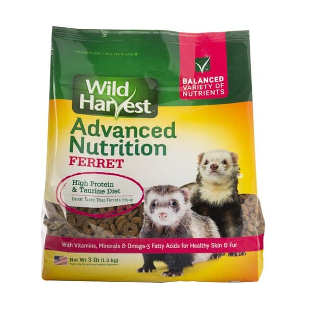 The Best Wet Food For Ferrets Pet Food Guide