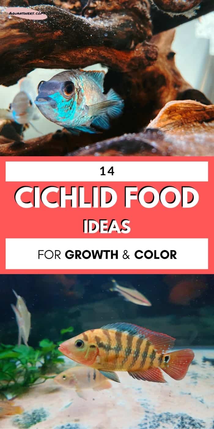 Peacock Cichlid Food