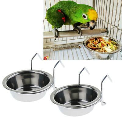 Choosing Parakeet Food and Water Dishes