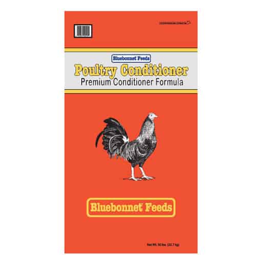 Benefits of Buying Bulk Chicken Feed