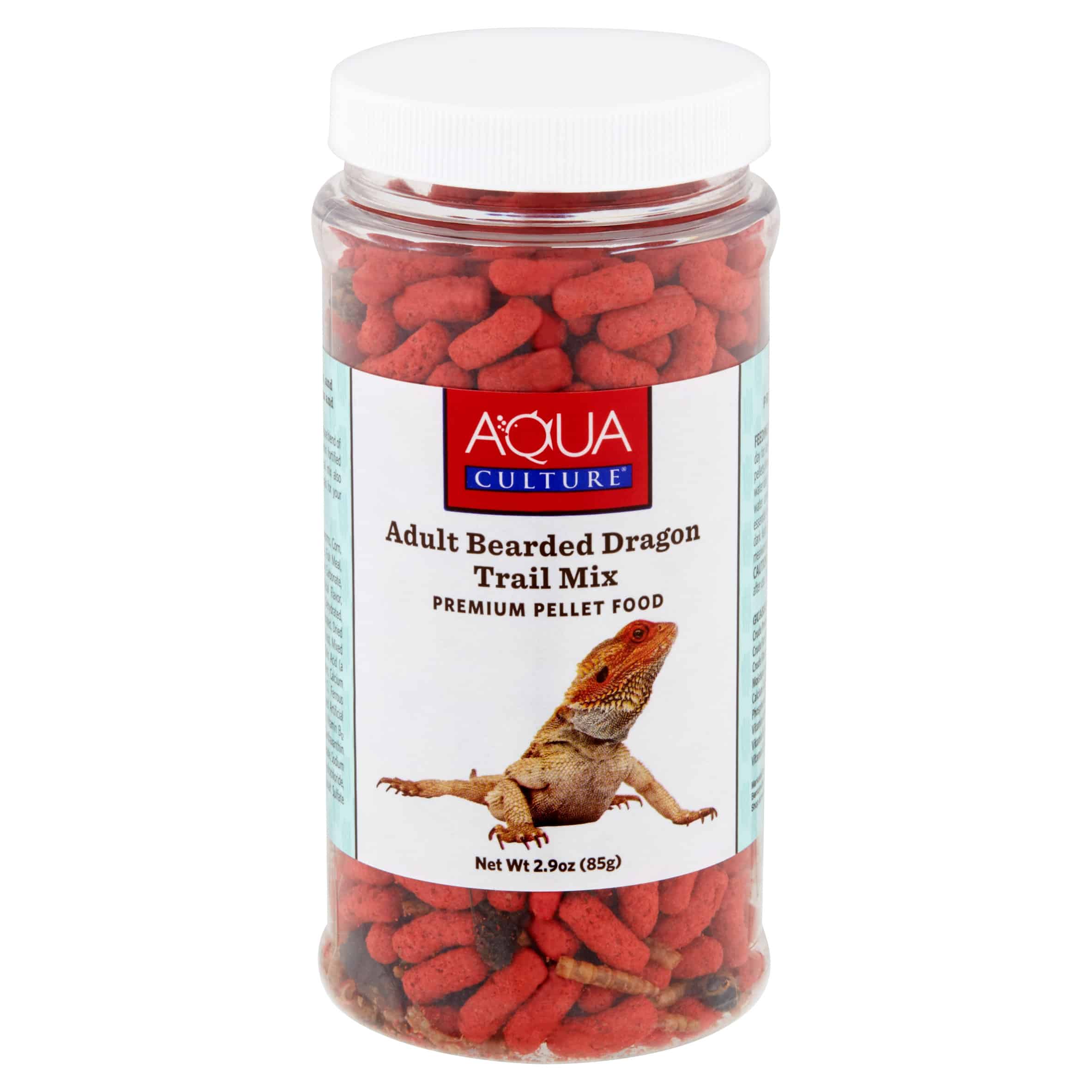 Bearded Dragon Food Insects Pet Food Guide