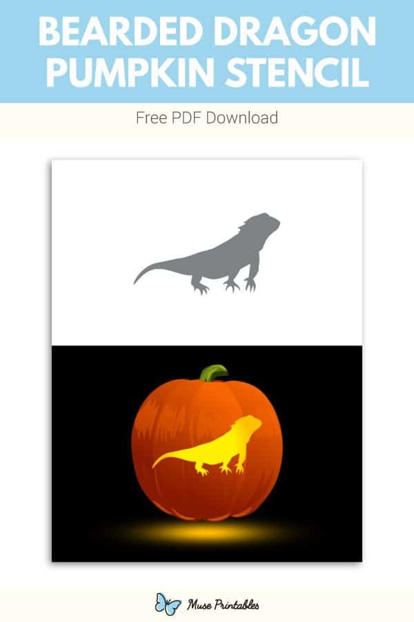 Pumpkin For Bearded Dragon