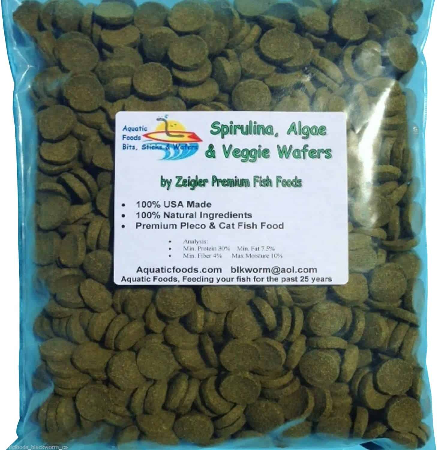 Best Food For Catfish Pet Food Guide