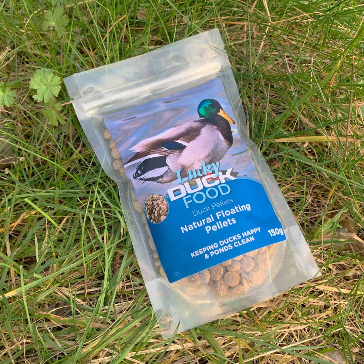 Choosing Duck Food Pellets That Contain Whole Grains and Brewer's Yeast