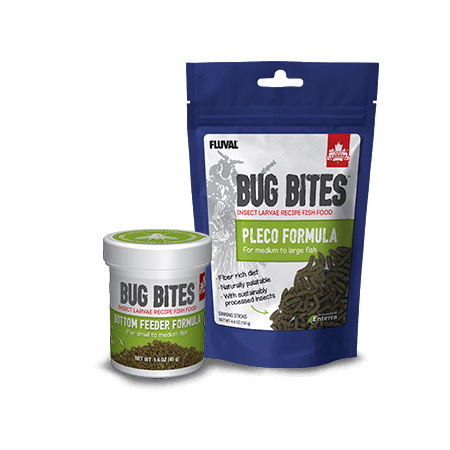 Choosing Bottom Feeder Fish Food