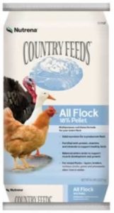 All Flock Chicken Feed Tips