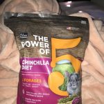 All Living Things Chinchilla Food