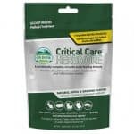 Critical Care Chinchilla Nutrition