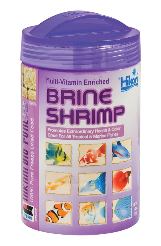 Feeding Brine Shrimp to Your Fish Pet Food Guide