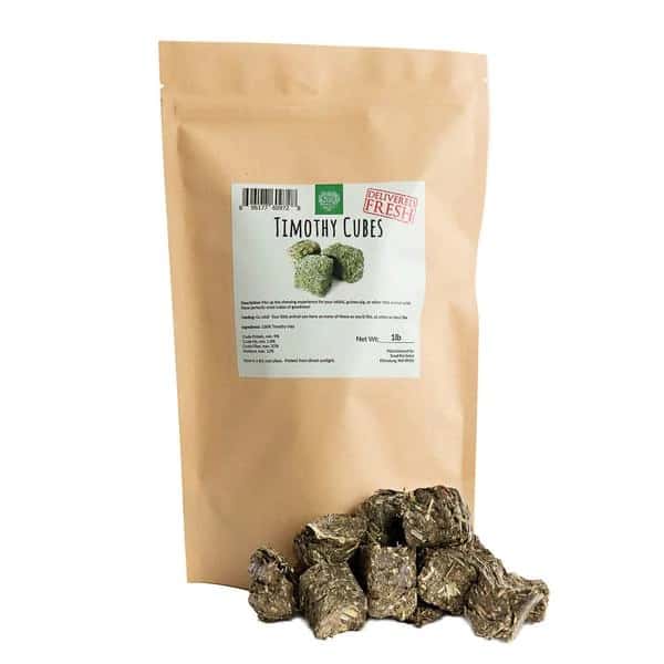 Healthy Snacks For Chinchillas