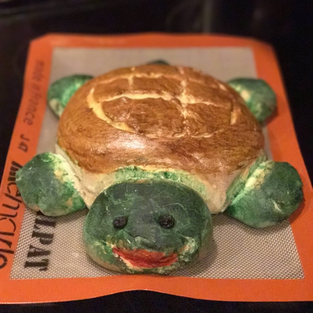 Do Turtles Eat Bread? Pet Food Guide