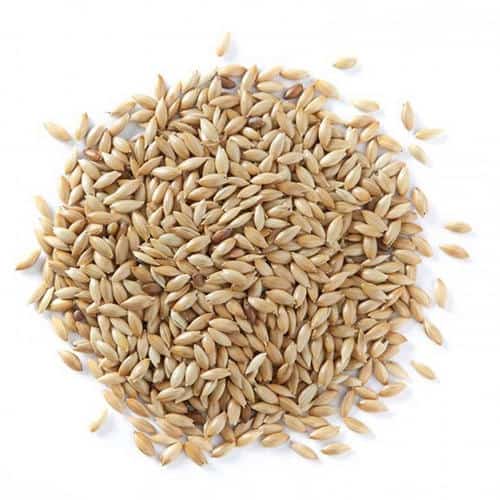 Organic Canary Seed For Birds Pet Food Guide