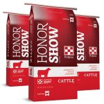 Purina Cow Feed - Which One is Right For Your Cows