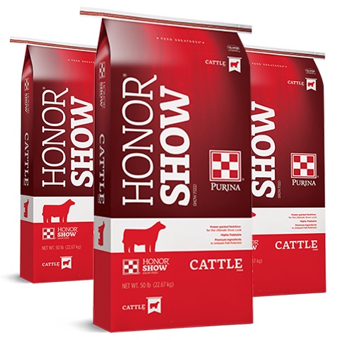 Purina Cow Feed - Which One is Right For Your Cows