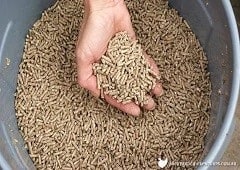 What Are the Different Types of Chicken Feed