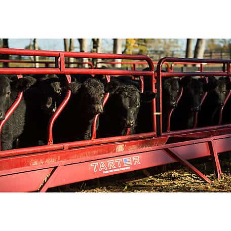 Which Cattle Fence Feeder is Right For You