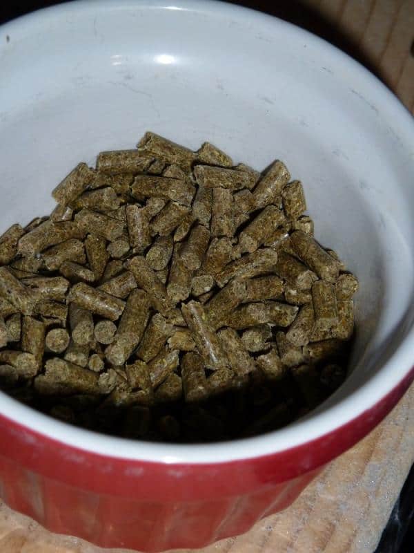 Mazuri Chinchilla Food