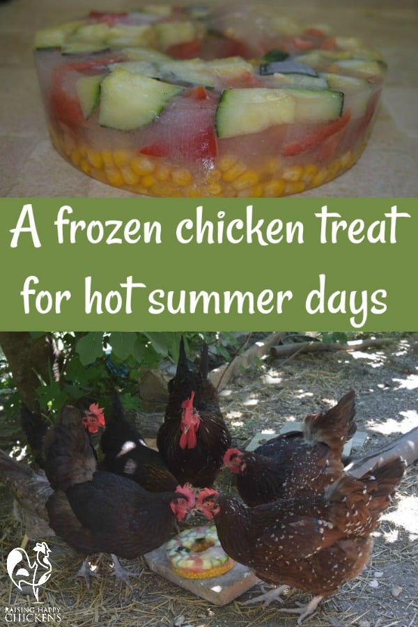 Healthy Snacks For Chickens Pet Food Guide