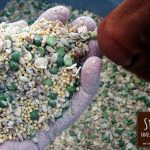 Organic Chicken Feed