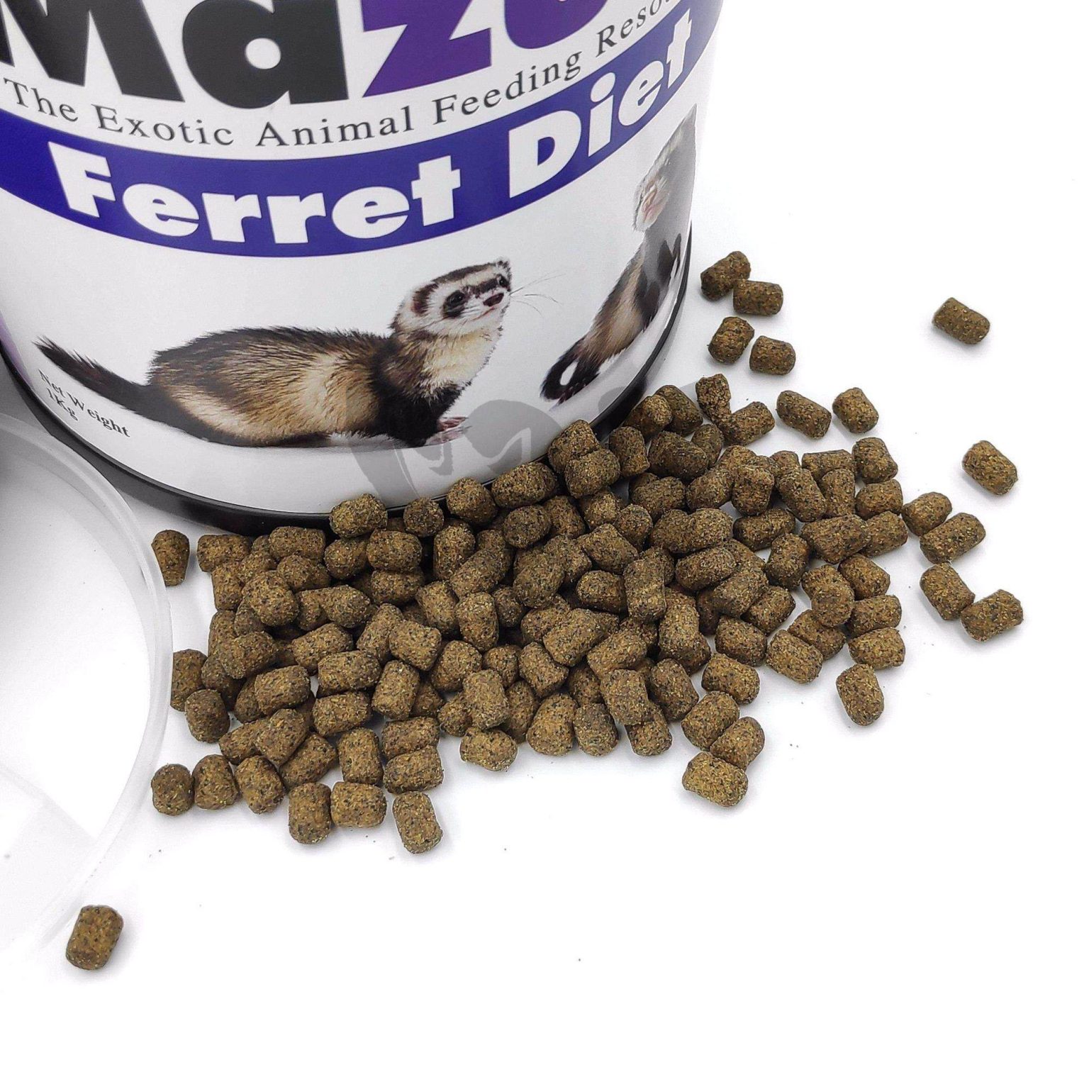 What Determines Ferret Size? Genetics, Diet, And More! - 9sio24f