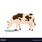 Feeding Green Grass to Cow - Preventative Measures You Can Take